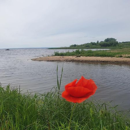 Paeevatalu Camping Hotel Vilusi Buitenkant foto