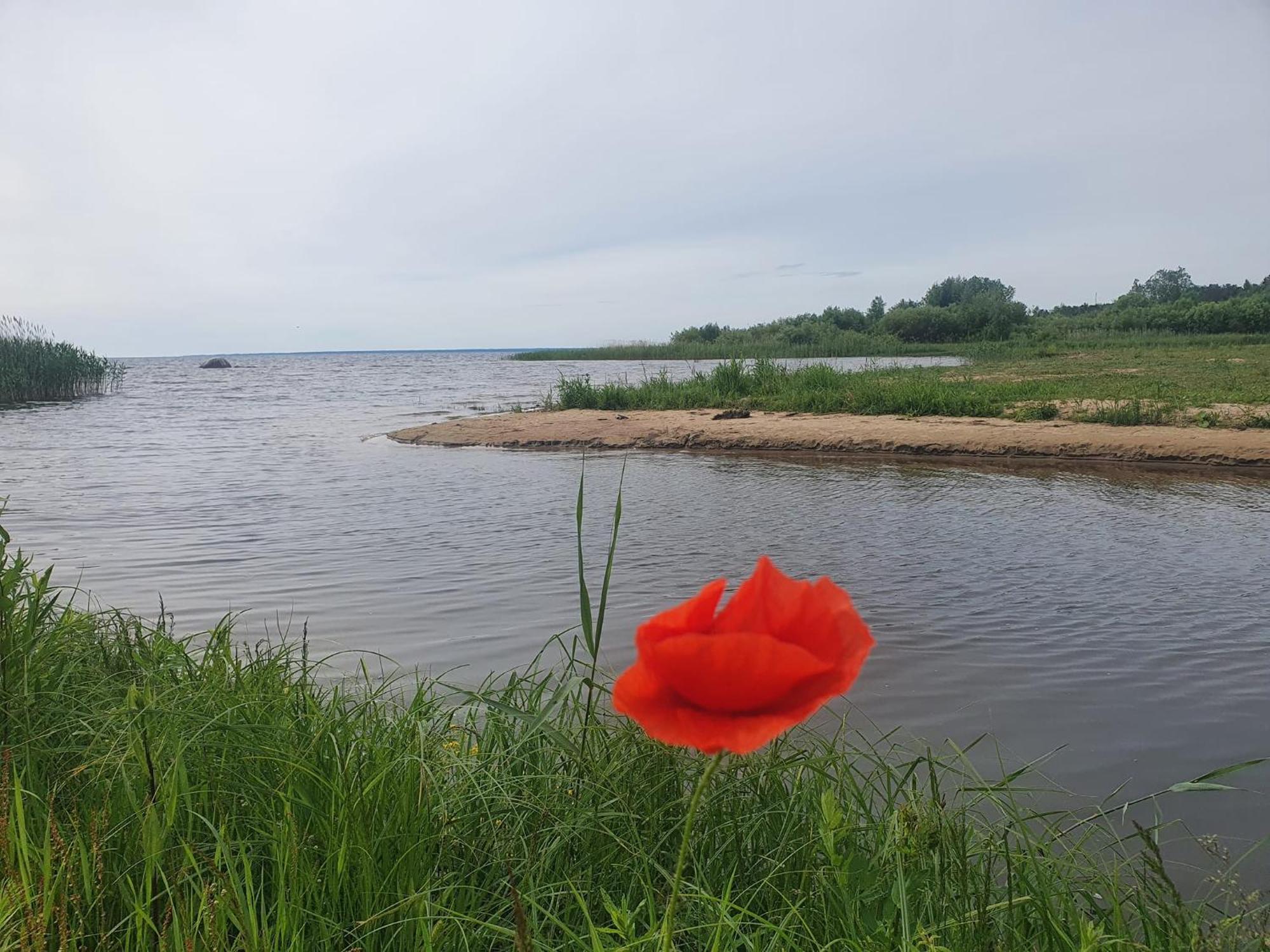Paeevatalu Camping Hotel Vilusi Buitenkant foto