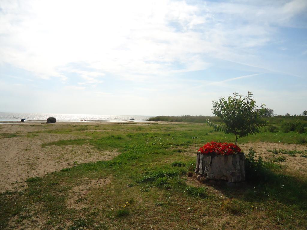 Paeevatalu Camping Hotel Vilusi Buitenkant foto
